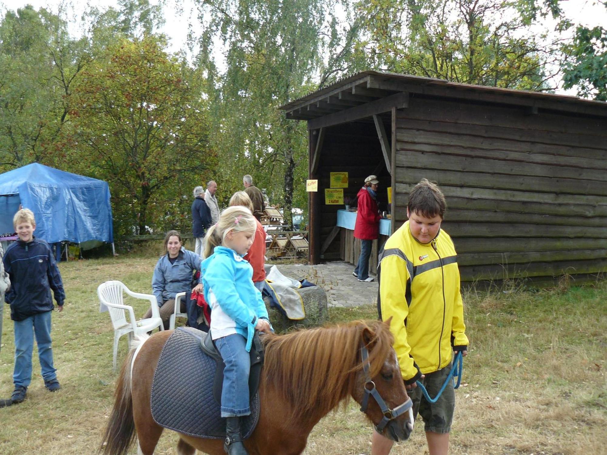 Holiday Home In Wietzendorf In The L Neburg Heath With A View Of The Countryside 외부 사진
