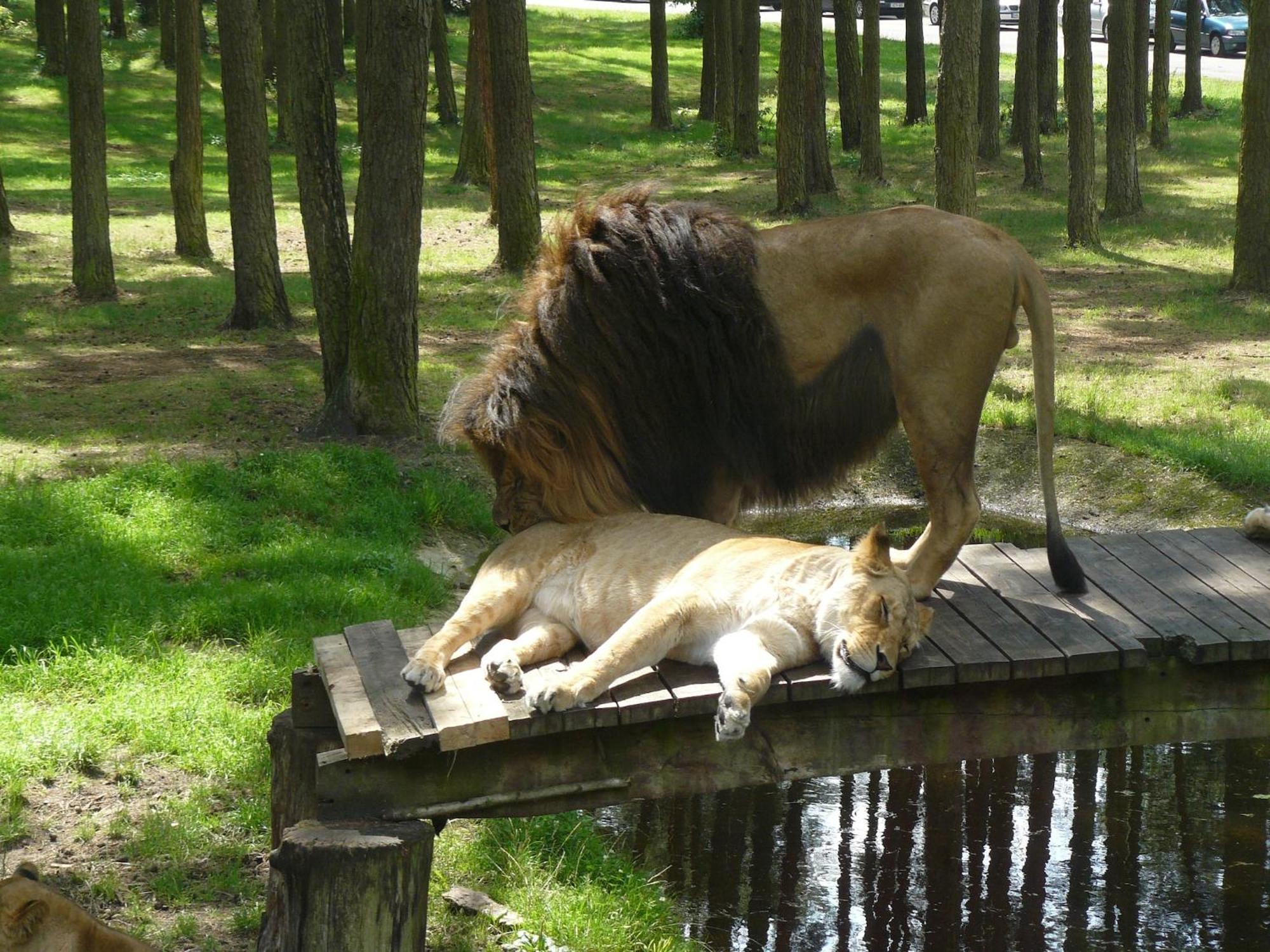 Holiday Home In Wietzendorf In The L Neburg Heath With A View Of The Countryside 외부 사진