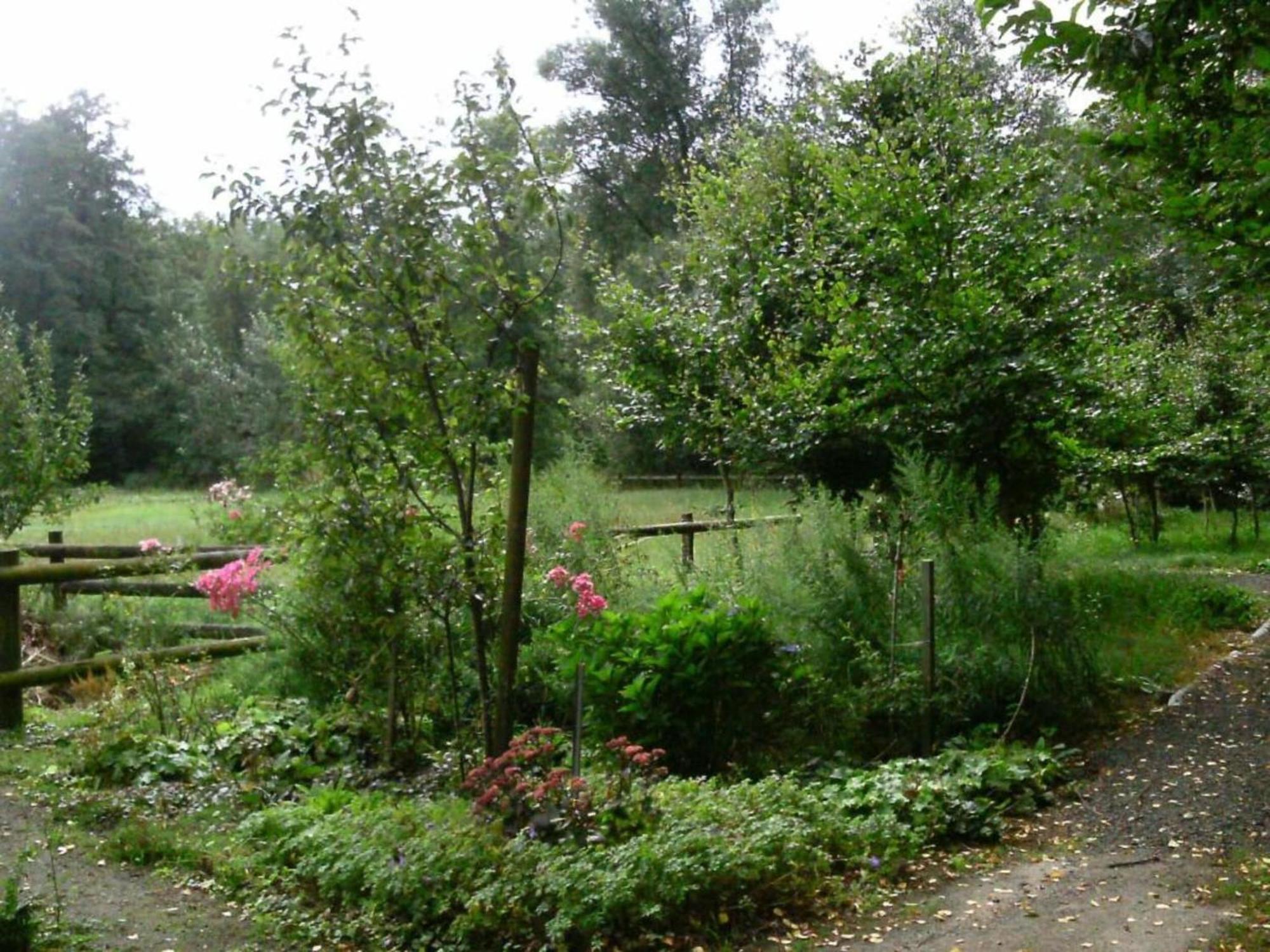 Holiday Home In Wietzendorf In The L Neburg Heath With A View Of The Countryside 외부 사진