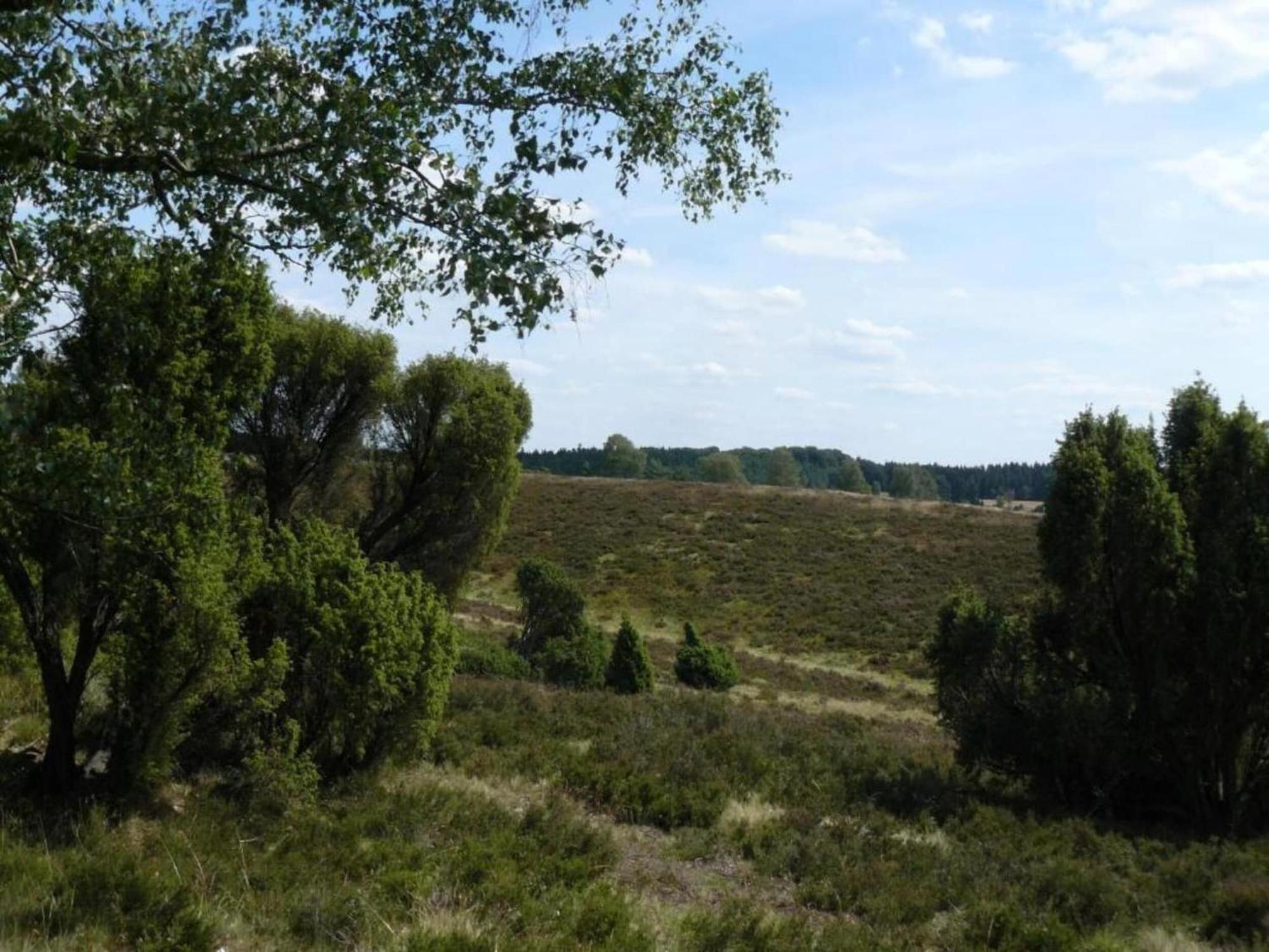 Holiday Home In Wietzendorf In The L Neburg Heath With A View Of The Countryside 외부 사진